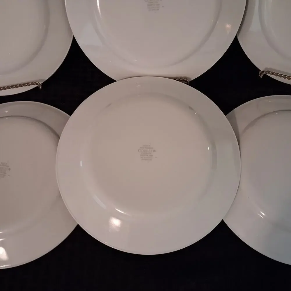 Corelle Vitrelle Watercolors 8.5